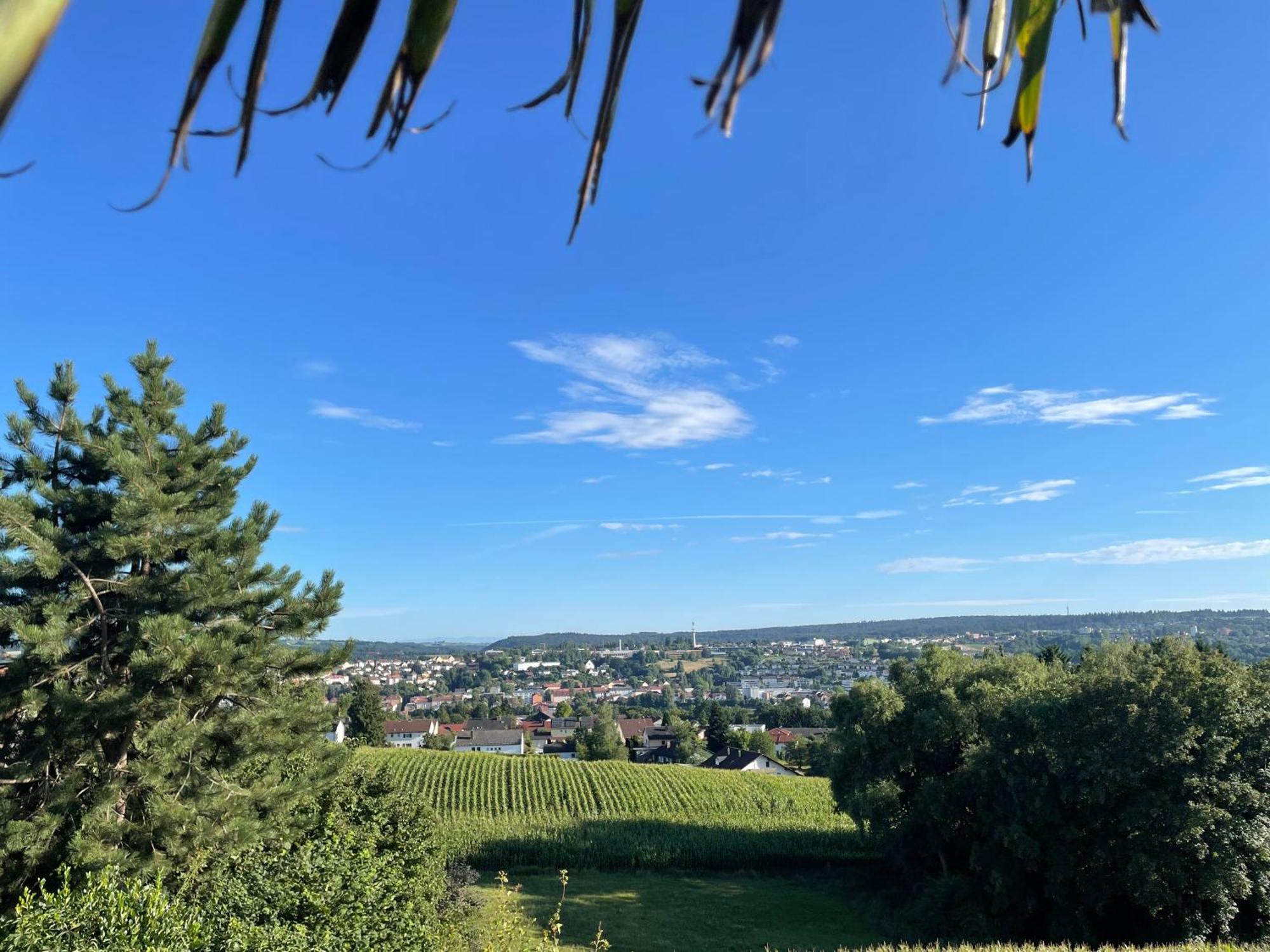 Tiny-House Mit Alpen- Stadt- Und Poolblick , Wlan Passau Exterior foto